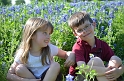 Kids_BlueBonnets_2012 (39)